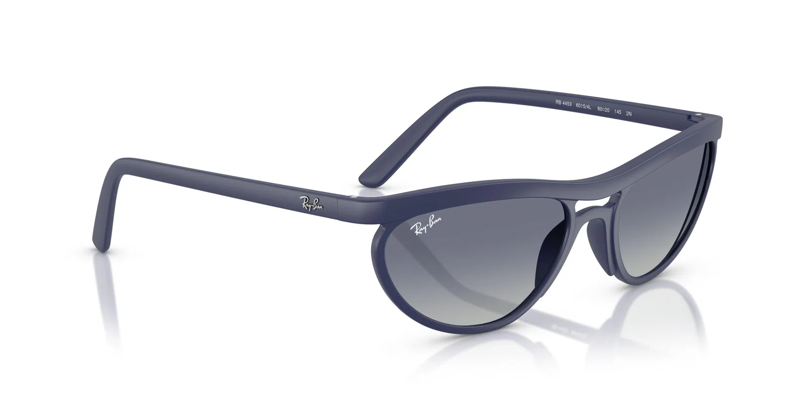 Ray-Ban 4453 Sunglasses - view 33